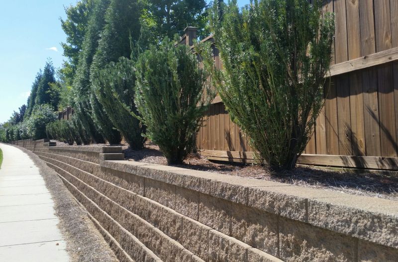 Hardscape Wall Construction in Ocala, FL
