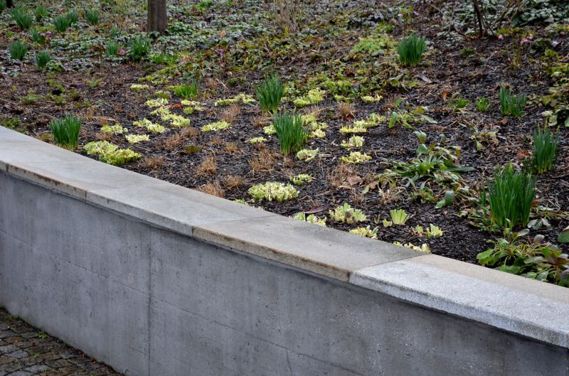 Retaining Wall Installation in Tampa, FL